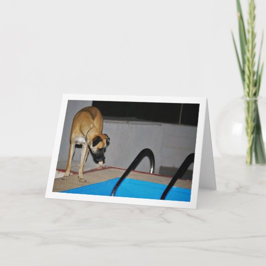 Hond bij zwembad kaart (Voorkant)