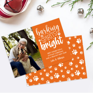 HOND BLAFFEN GEEST HELDERE POTEN SINAASAPPEL KERST FEESTDAGENKAART