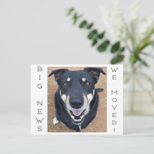 Hond blij! briefkaart (Staand voorkant)