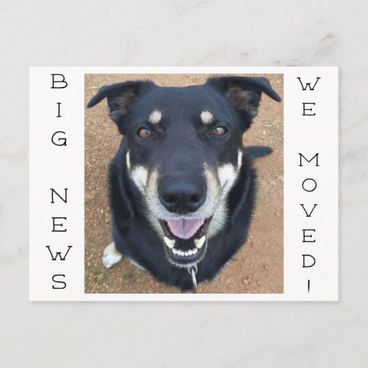 Hond blij! briefkaart (Voorkant)