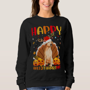 Hond  Blijke Golden Retriever Hond Hellothanksmas Trui