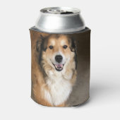 Hond Blikjeskoeler (Blikje Achterkant)