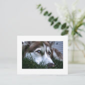 hond briefkaart (Staand voorkant)