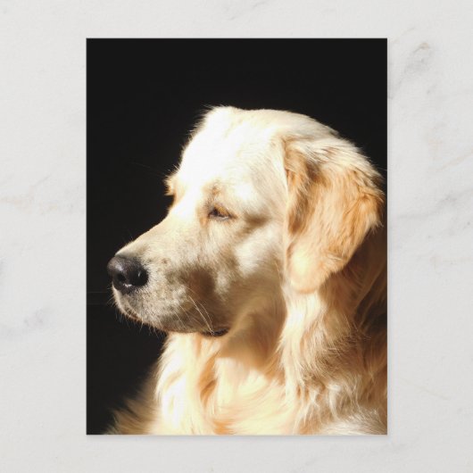 hond briefkaart (Voorkant)