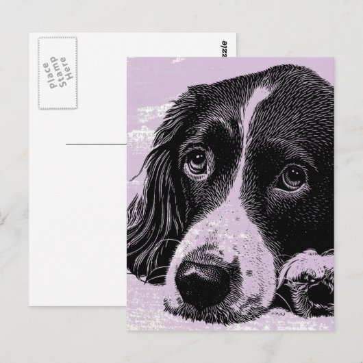  hond briefkaart (Voorkant / Achterkant)