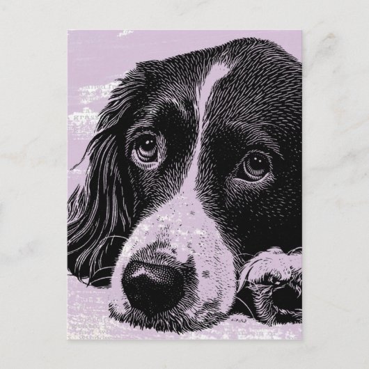  hond briefkaart (Voorkant)