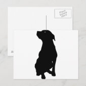 Hond Briefkaart (Voorkant / Achterkant)