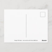 Hond Briefkaart (Achterkant)