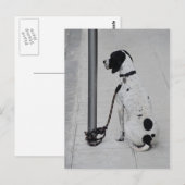 Hond Briefkaart (Voorkant / Achterkant)