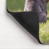 Hond, Bulldog, Engelse Bulldog Muismat (Hoek)