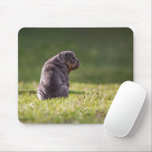 Hond, Bulldog, Engelse Bulldog Muismat (Met muis)