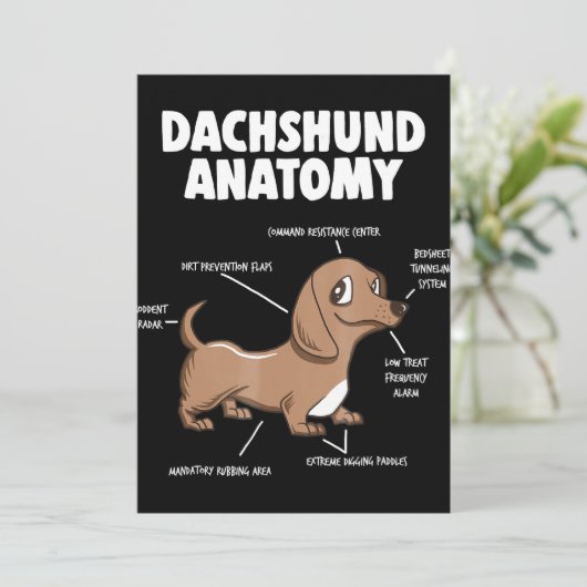Hond Cadeau | Anatomie Dachshund Grappige Wiener Kaart (Staand voorkant)