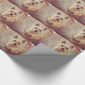 Hond Cadeaupapier (Hoek)