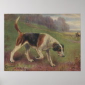 Hond, Canine, Foxhound, jachtVintage Poster (Voorkant)