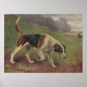 Hond, Canine, Foxhound, jachtVintage Poster