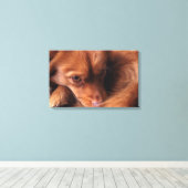 hond canvas afdruk (Insitu (Houten vloer))