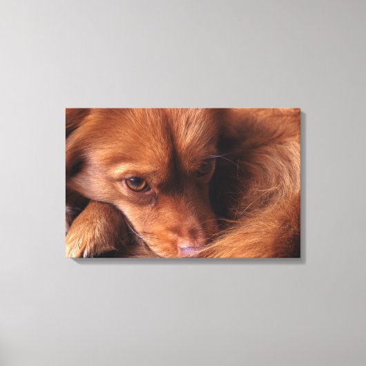 hond canvas afdruk (Voorkant)