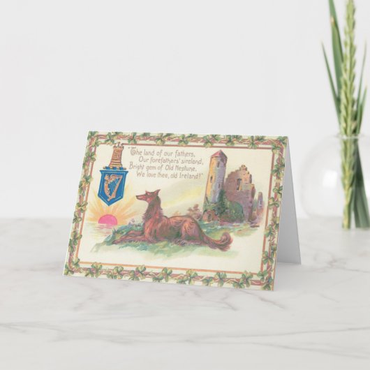 Hond Castle Shamrock Harp van Erin Sun Kaart (Voorkant)