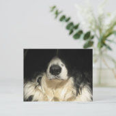 Hond close-up briefkaart (Staand voorkant)