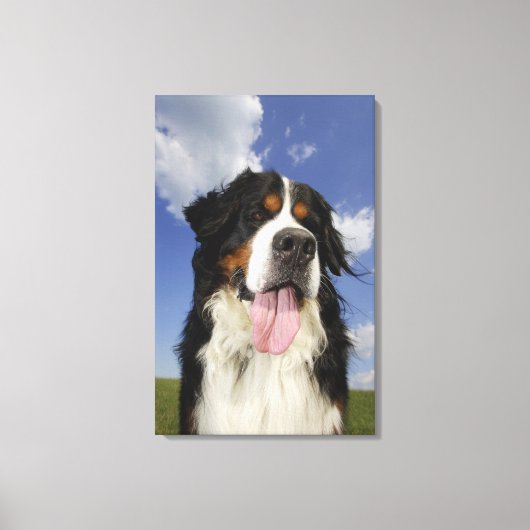 Hond, close-up canvas afdruk (Voorkant)