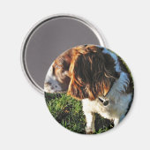Hond Cocker Spaniel Zittend Magneet (Voorkant / Achterkant)