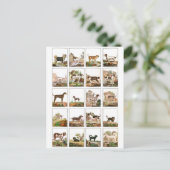 Hond Collectie in  stijl Briefkaart (Staand voorkant)
