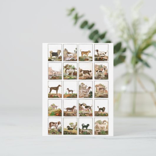 Hond Collectie in  stijl Briefkaart (Staand voorkant)