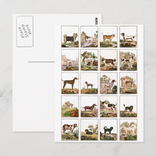 Hond Collectie in  stijl Briefkaart (Voorkant / Achterkant)