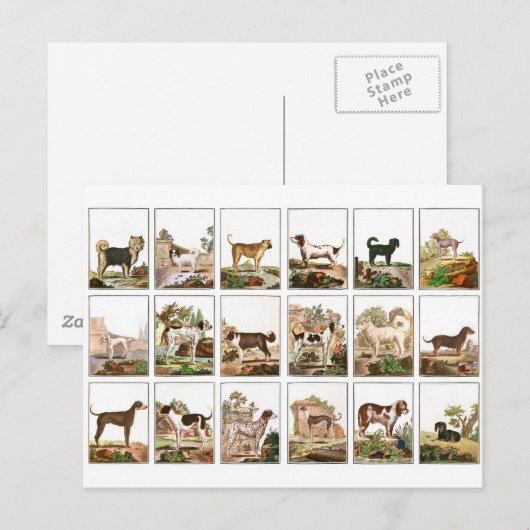 Hond Collectie in  stijl Briefkaart (Voorkant / Achterkant)