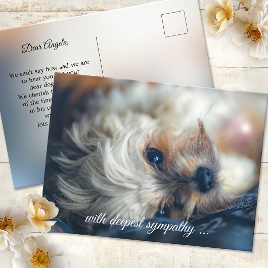 Hond Condoleance Ansichtkaart Briefkaart