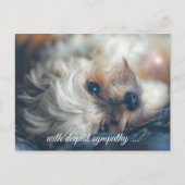Hond Condoleancekaart Briefkaart (Voorkant)