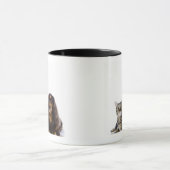 hond (Dachshund) en kat (Japanse kat) op wit Mok (Midden)