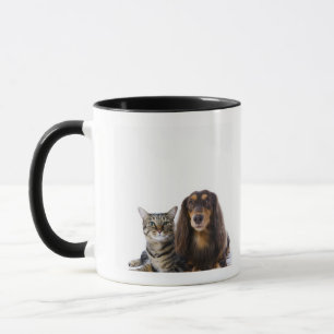 hond (Dachshund) en kat (Japanse kat) op wit Mok