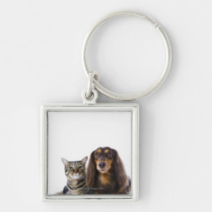 hond (Dachshund) en kat (Japanse kat) op wit Sleutelhanger