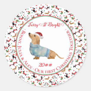 Hond Dachshund Santa Hoed Kerstmis Furry Bright Ronde Sticker