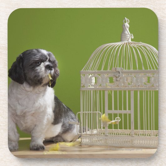 Hond dicht bij een vogelkooi bier onderzetter (Voorkant)
