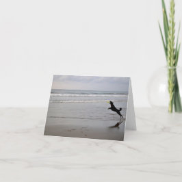 Hond die de Kaart van de Nota van Frisbee van het