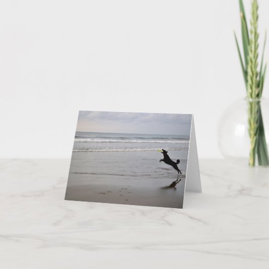 Hond die de Kaart van de Nota van Frisbee van het (Voorkant)