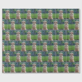 Hond die door een hek met kettingschakel kijkt cadeaupapier (Vlak)