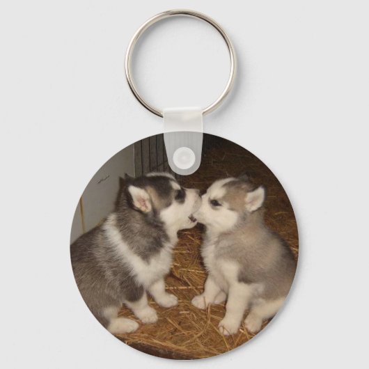 hond die een hond bijt sleutelhanger (Voorkant)