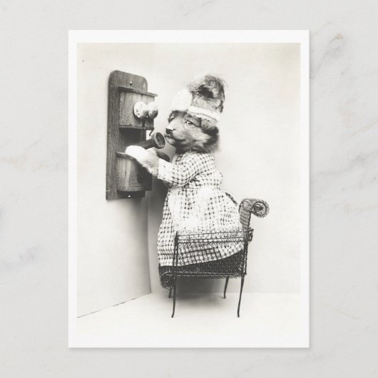  hond die een telefoongesprek voert Vreemd Briefkaart (Voorkant)