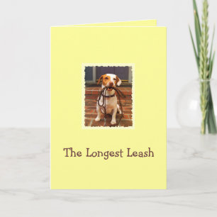 Hond die het Langste huis van de Leiband nemen Bedankkaart