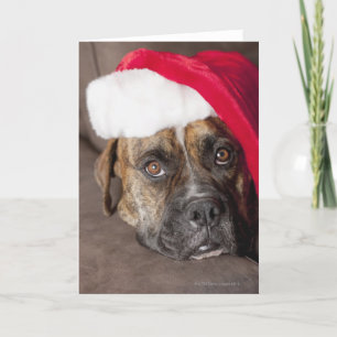 Hond die het pet van de Kerstman dragen Feestdagen Kaart