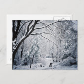 Hond die in een Sprookjesland van de Winter lopen Briefkaart (Voorkant / Achterkant)