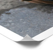 Hond die omhoog kijkt poster (Hoek)