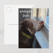 Hond die op Sinterklaas wacht Feestdagenkaart (Voorkant / Achterkant)