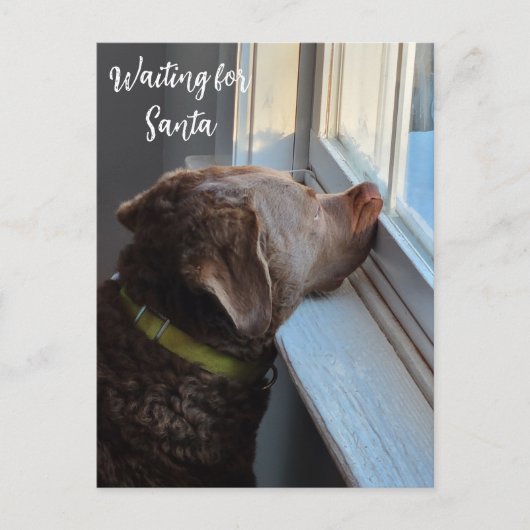 Hond die op Sinterklaas wacht Feestdagenkaart (Voorkant)