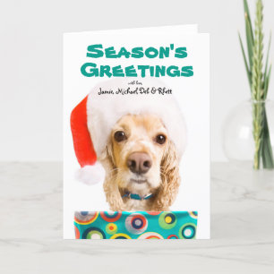 Hond die santapet dragen, die huidig houden feestdagen kaart