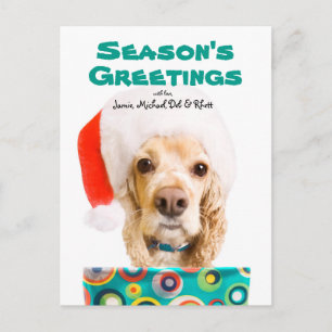 Hond die santapet dragen, die huidig houden feestdagenkaart