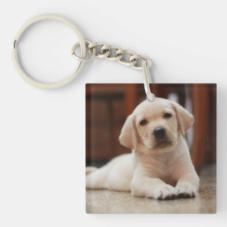 Hond die van het Puppy van Labrador van het baby Sleutelhanger